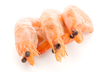 Image showing Three shrimps 
