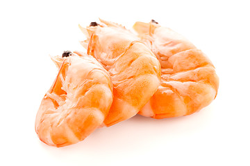 Image showing Three shrimps 