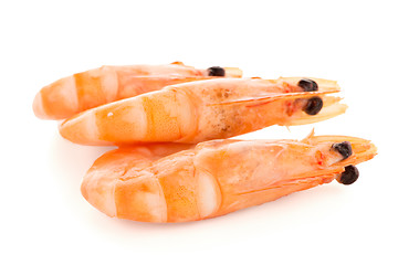 Image showing Three shrimps 