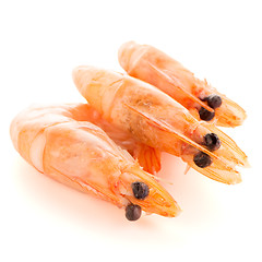 Image showing Three shrimps 