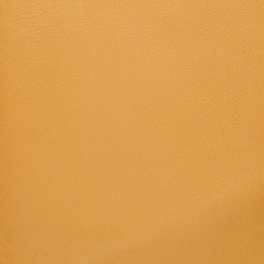 Image showing Brown leather