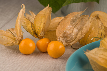 Image showing Physalis fruits