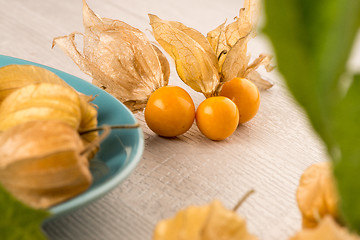 Image showing Physalis fruits