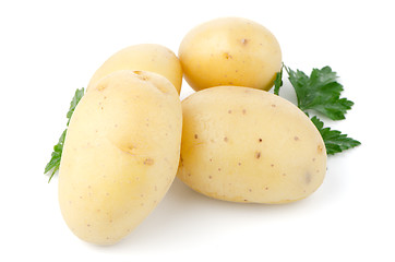 Image showing New potatoes and green parsley