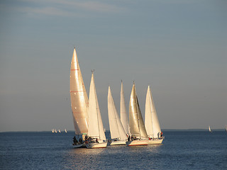 Image showing Sailing