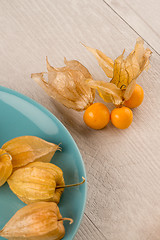 Image showing Physalis fruits