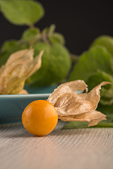 Image showing Physalis fruits