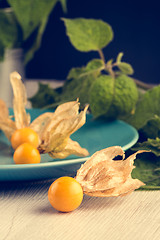 Image showing Physalis fruits