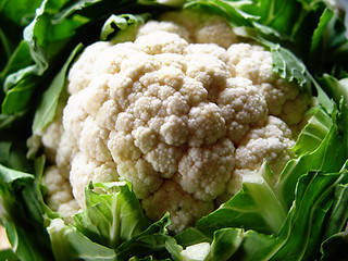 Image showing cauliflower