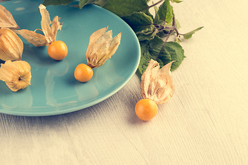 Image showing Physalis fruits