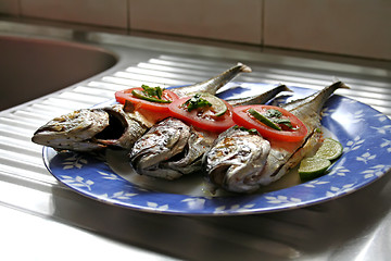 Image showing Grilled fish