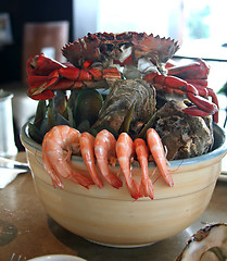 Image showing Seafood on ice