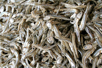 Image showing Dried fish