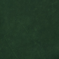 Image showing Green leather