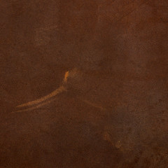 Image showing Brown leather