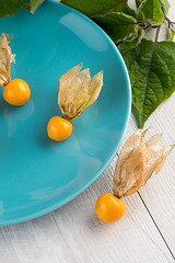 Image showing Physalis fruits