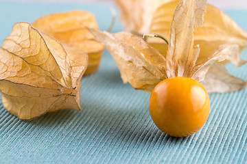 Image showing Physalis fruits