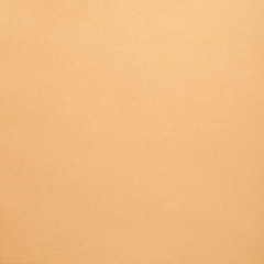 Image showing Beige leather