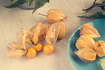 Image showing Physalis fruits