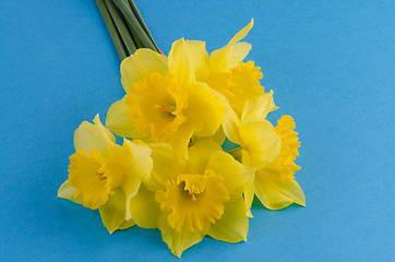 Image showing Jonquil flowers