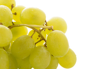 Image showing Green grapes