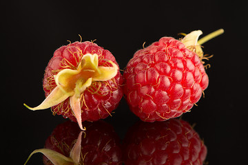 Image showing Fresh raspberries