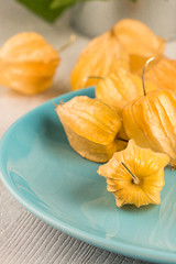 Image showing Physalis fruits