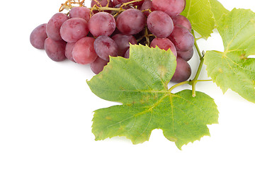 Image showing Bunch of red grapes