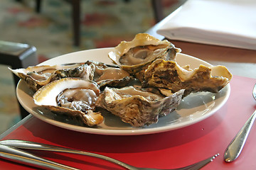 Image showing Fresh oysters