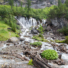 Image showing Waterfall in the forest