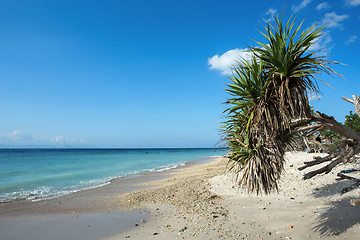 Image showing dream beach, Bali Indonesia, Nusa Penida island