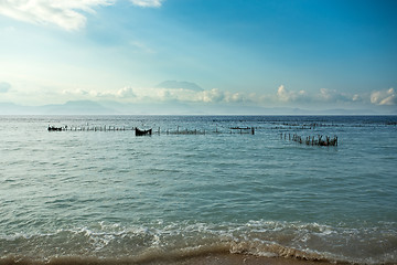 Image showing Plantations of seaweed on beach, Algae at low tide