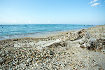 Image showing dream beach, Bali Indonesia, Nusa Penida island