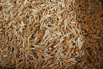 Image showing Dried fish