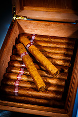 Image showing Cigars in humidor