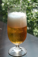 Image showing Glass of beer