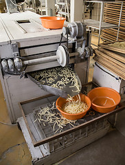 Image showing Pasta manufacturing