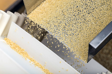 Image showing Pasta production line 