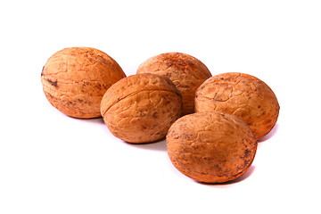 Image showing walnuts