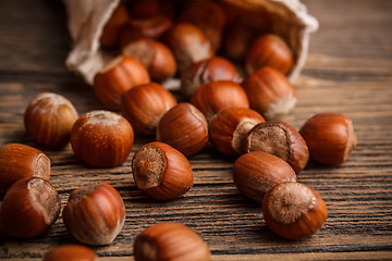 Image showing Hazelnuts