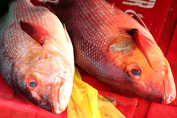 Image showing Fish market