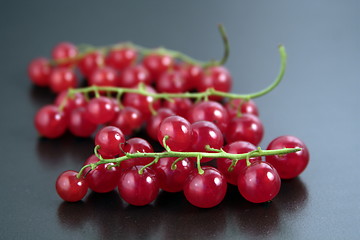 Image showing red currant