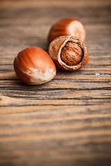 Image showing Dried hazelnuts