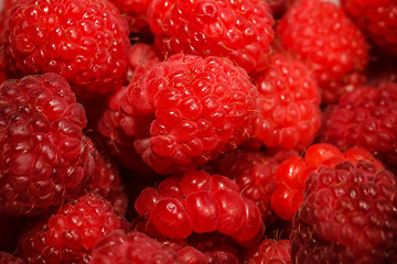 Image showing Raspberry 