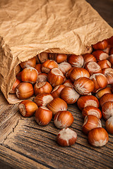 Image showing Tasty hazelnuts