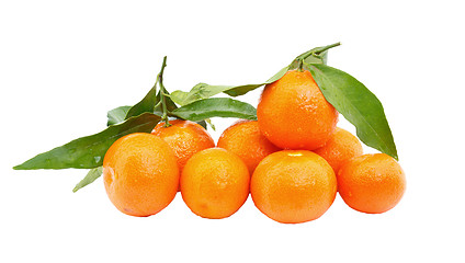 Image showing Fresh tangerine fruits