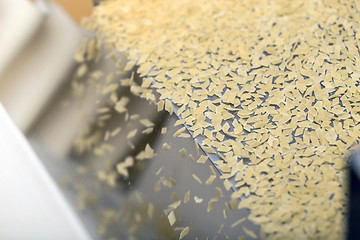 Image showing Pasta production line