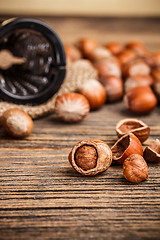 Image showing Hazelnuts 