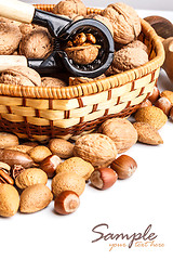 Image showing Various nuts