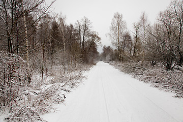 Image showing Winter Road